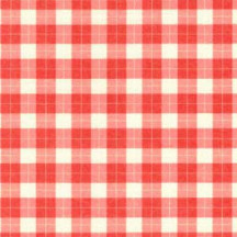 Red and White Gingham Italian Paper ~ Tassotti ~ Reversible Print